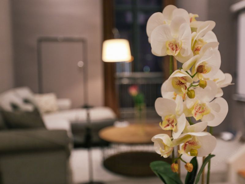 hotelPic