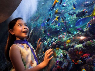 海南9日游价格_海南7日跟团游_豪华海南旅游