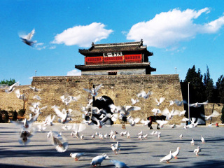 北戴河報(bào)團(tuán)多少錢_北戴河自由行還是跟團(tuán)好_北戴河旅游路線