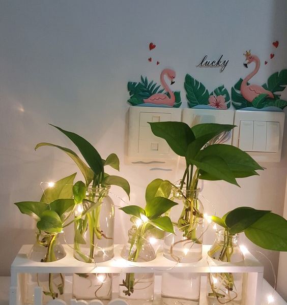 淄博冰冰の小屋