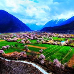 小交通模块 