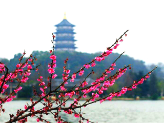 杭州蘇州自由行費(fèi)用_到杭州蘇州旅游_杭州蘇州旅游大約多少錢