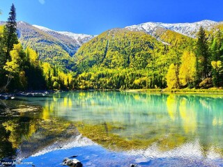 新疆喀納斯旅行團(tuán)_報團(tuán)去新疆喀納斯多少錢_去新疆喀納斯報團(tuán)多少錢