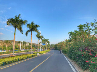 報團去廈門鼓浪嶼多少錢_廈門鼓浪嶼自由行費用_去廈門鼓浪嶼旅游多少錢