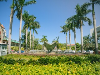 報團去廈門鼓浪嶼多少錢_廈門鼓浪嶼自由行費用_去廈門鼓浪嶼旅游多少錢