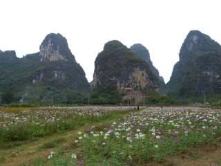 桂林漓江最適合旅游的季節(jié)_到桂林漓江旅游多少錢_桂林漓江八月份旅游