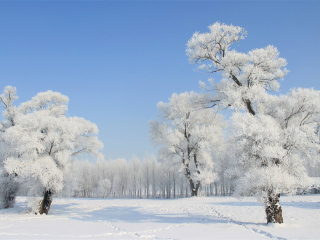 2021去亞布力雪鄉(xiāng)跟團(tuán)多少錢_亞布力雪鄉(xiāng)旅游團(tuán)報價2021_亞布力雪鄉(xiāng)2人旅游需要多少錢
