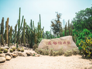 特價(jià)廈門游_幾月份去廈門最便宜_廈門旅游8日游