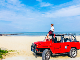 去廈門旅游怎么走_(dá)廈門旅游團(tuán)報(bào)價(jià)_旅行團(tuán)廈門游