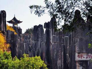 云南麗江游跟團(tuán)_正月云南麗江游報(bào)價(jià)_云南麗江旅游跟團(tuán)多少錢