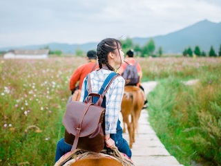 云南麗江最適合旅游的季節(jié)_云南麗江旅游報(bào)價(jià)_特價(jià)云南麗江游