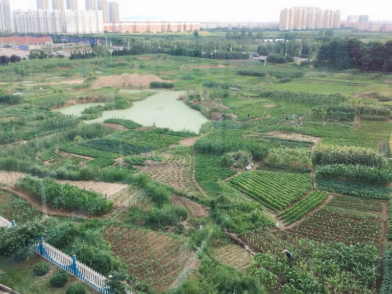 威海九歌公寓(12号店)
