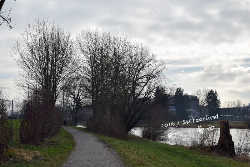 带着你的梦想看世界 --- 1月 瑞士三城的生日治