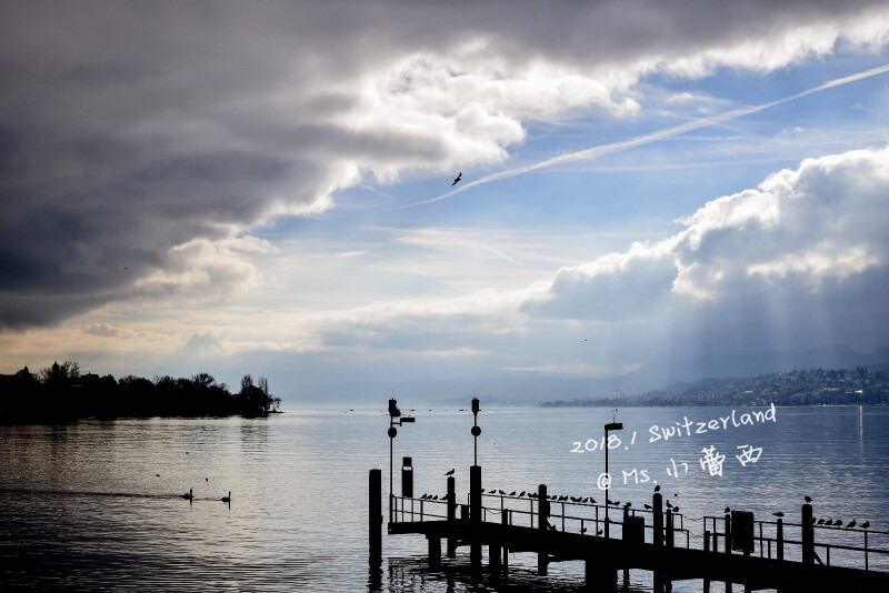 带着你的梦想看世界 --- 1月 瑞士三城的生日治