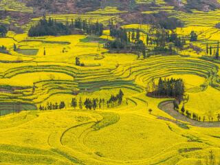 六日昆明游_昆明十日旅游_跟团去昆明旅游价格