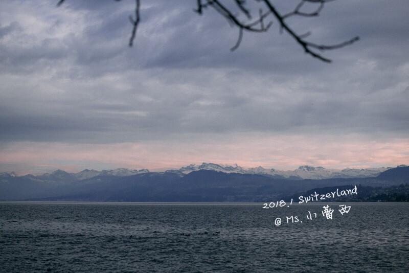 带着你的梦想看世界 --- 1月 瑞士三城的生日治