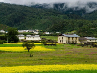云南麗江報(bào)團(tuán)旅游多少錢_云南麗江旅游團(tuán)報(bào)價(jià)_云南麗江旅游團(tuán)報(bào)價(jià)自由行