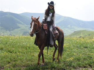 去內(nèi)蒙古呼和浩特旅游多少錢_內(nèi)蒙古呼和浩特旅行團(tuán)_內(nèi)蒙古呼和浩特旅游要多少錢跟團(tuán)