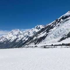 活动模块 
