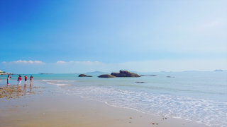 廈門島內(nèi)景點(diǎn)大全 廈門島內(nèi)景點(diǎn)大全介紹
