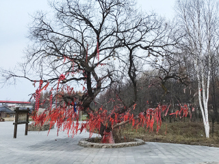 2021去亞布力雪鄉(xiāng)跟團(tuán)多少錢_亞布力雪鄉(xiāng)旅游團(tuán)報價2021_亞布力雪鄉(xiāng)2人旅游需要多少錢