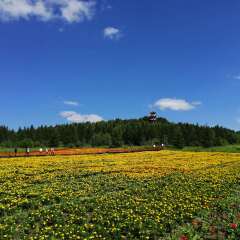 小交通模块 