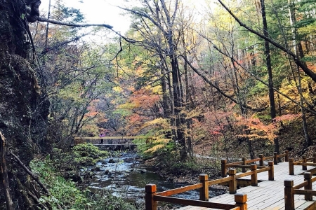  吉林龙湾群国家森林公园2日游>三角龙湾,吊水壶瀑布,大龙湾三景区