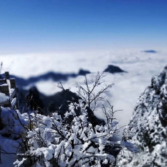 景点模块 