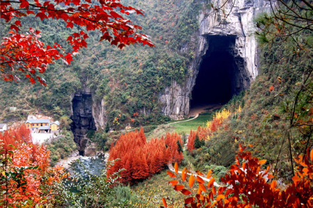 <恩施利川腾龙洞景区1日游>惠游湖北，门票全免，2人起订，6人小团，免费接送，看原生态土苗歌舞，赏高科技激光秀