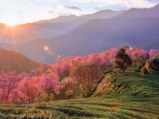 去云南騰沖游要多少錢_云南騰沖旅游多少錢_跟團(tuán)云南騰沖游價格
