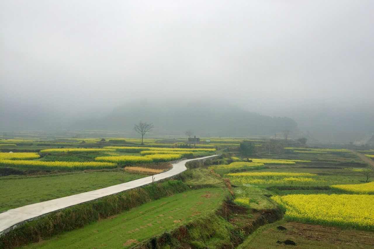 普通山景标间