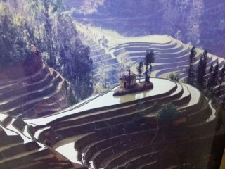 旅游云南_参加云南旅游团_去云南5天旅游