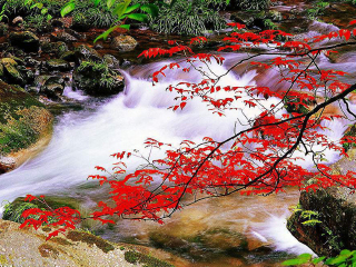 湖南張家界旅游花費一般多少_現(xiàn)在到湖南張家界旅游多少錢_怎么去湖南張家界旅游