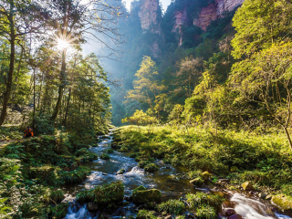 湖南張家界旅游花費一般多少_現(xiàn)在到湖南張家界旅游多少錢_怎么去湖南張家界旅游