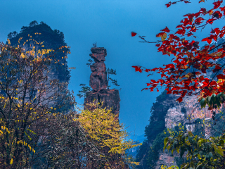 湖南張家界旅游花費一般多少_現(xiàn)在到湖南張家界旅游多少錢_怎么去湖南張家界旅游