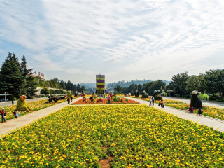 报团游丽江_跟团丽江游价格_至丽江跟团游