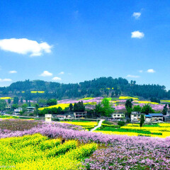 小交通模块 