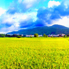小交通模块 