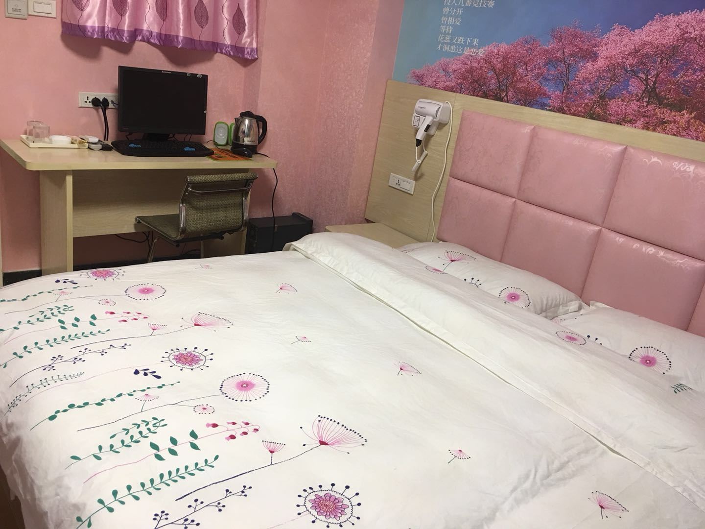 豪华主题电脑房