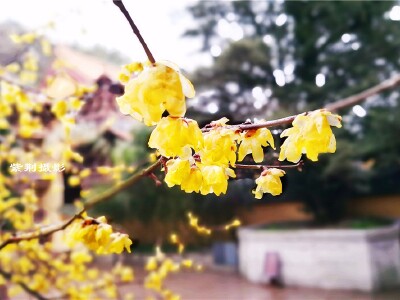 旅游游记_2018最新游记_自助游游记