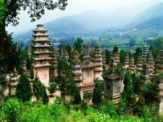 河南云臺(tái)山游報(bào)價(jià)_去河南云臺(tái)山旅游_河南云臺(tái)山旅游多少錢