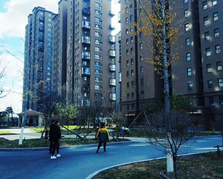 沈阳桃仙民宿
