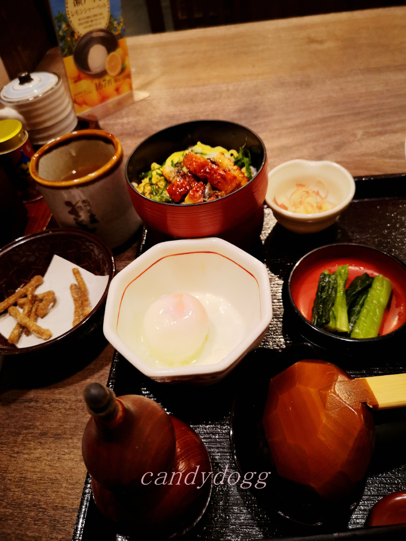 #首发#2018年日本京都大阪偶遇大地震之5日行