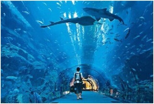 遨游世界在哪玩 Cii-slqyCgeINmBJAACi9ONLUqMAAEicgOzelcAAKMM380_w640_h0_c0_t0.jpg