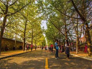 大連旅游要多少錢跟團(tuán)_大連旅行跟團(tuán)_大連旅游需要多少錢