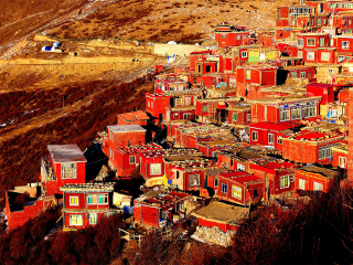廣州稻城亞丁旅游團(tuán)_2021去稻城亞丁跟團(tuán)多少錢_稻城亞丁跟團(tuán)還是自由行