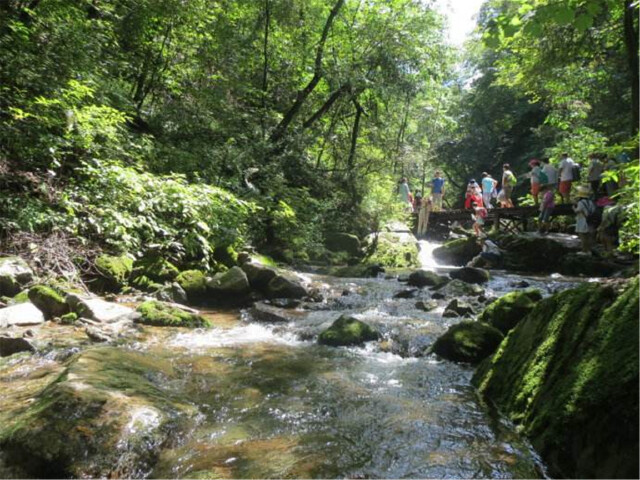  本溪绿石谷国家森林公园1日游>森林美景