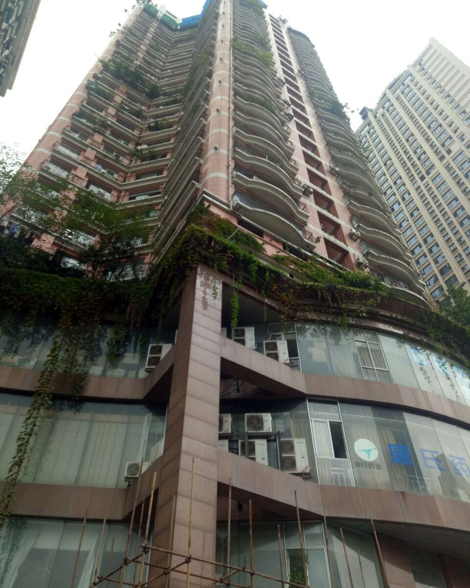 重庆东阁民宿