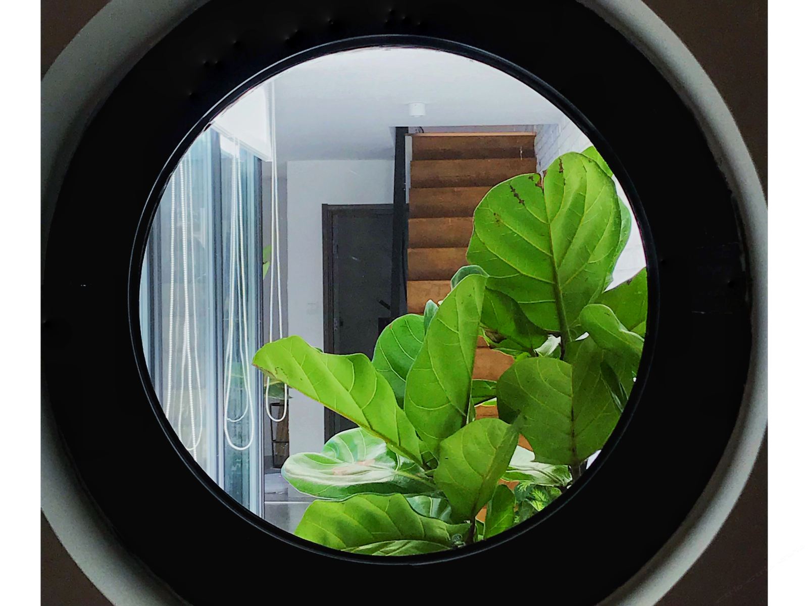 大羊圈