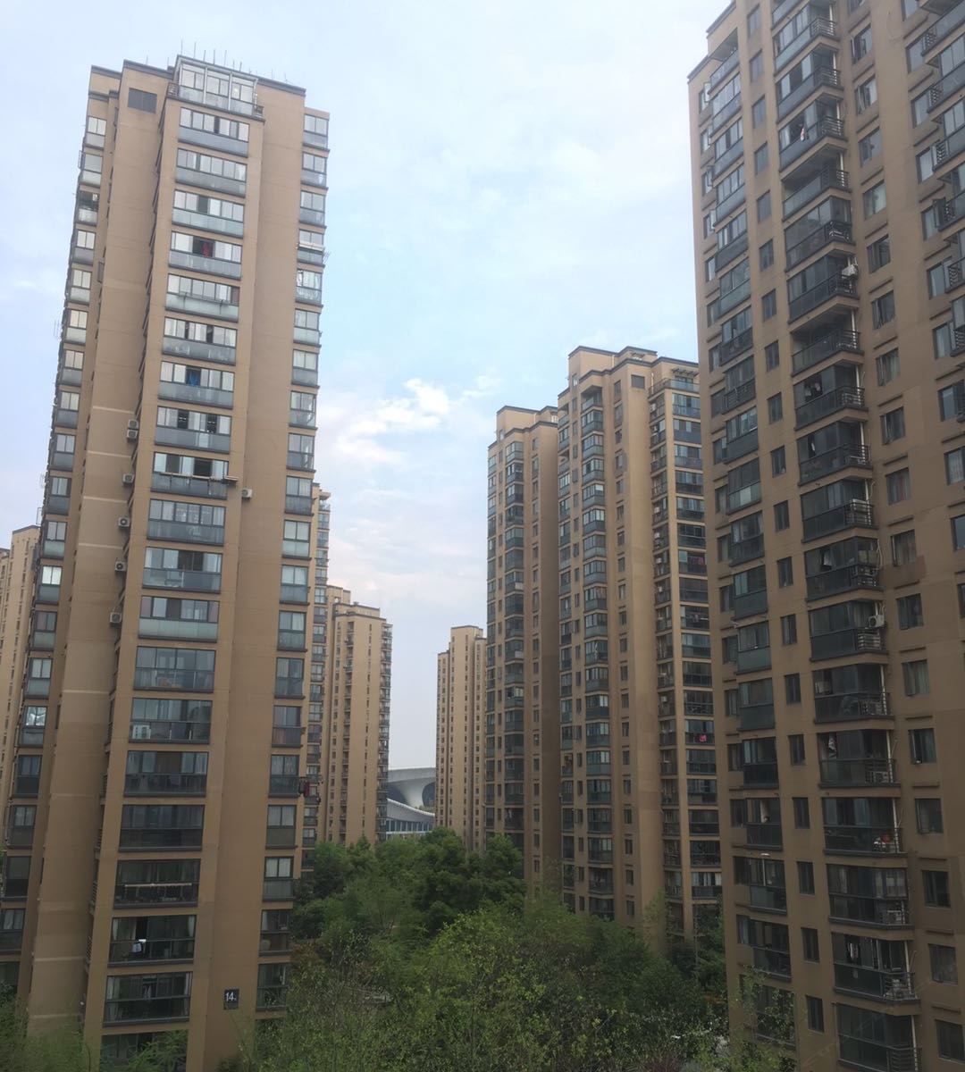 杭州爱居青年旅舍